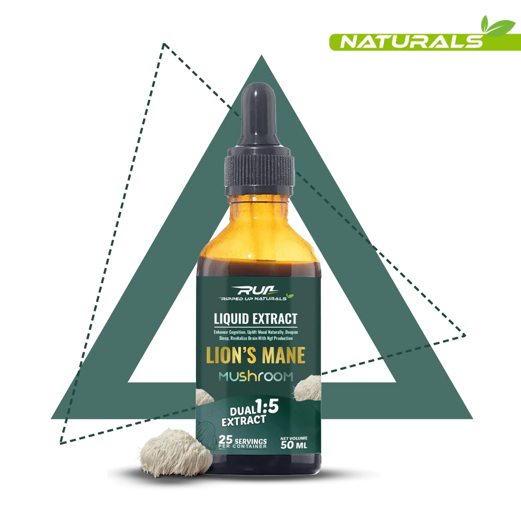 Lion's Mane Mushroom Liquid Extract