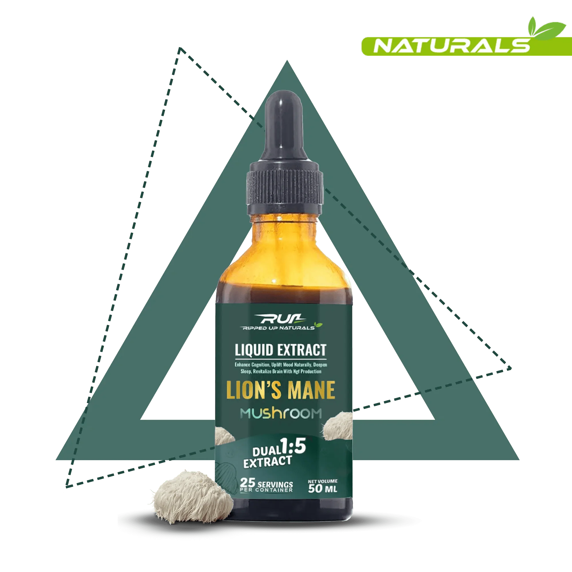 Lion's Mane Mushroom Liquid Extract