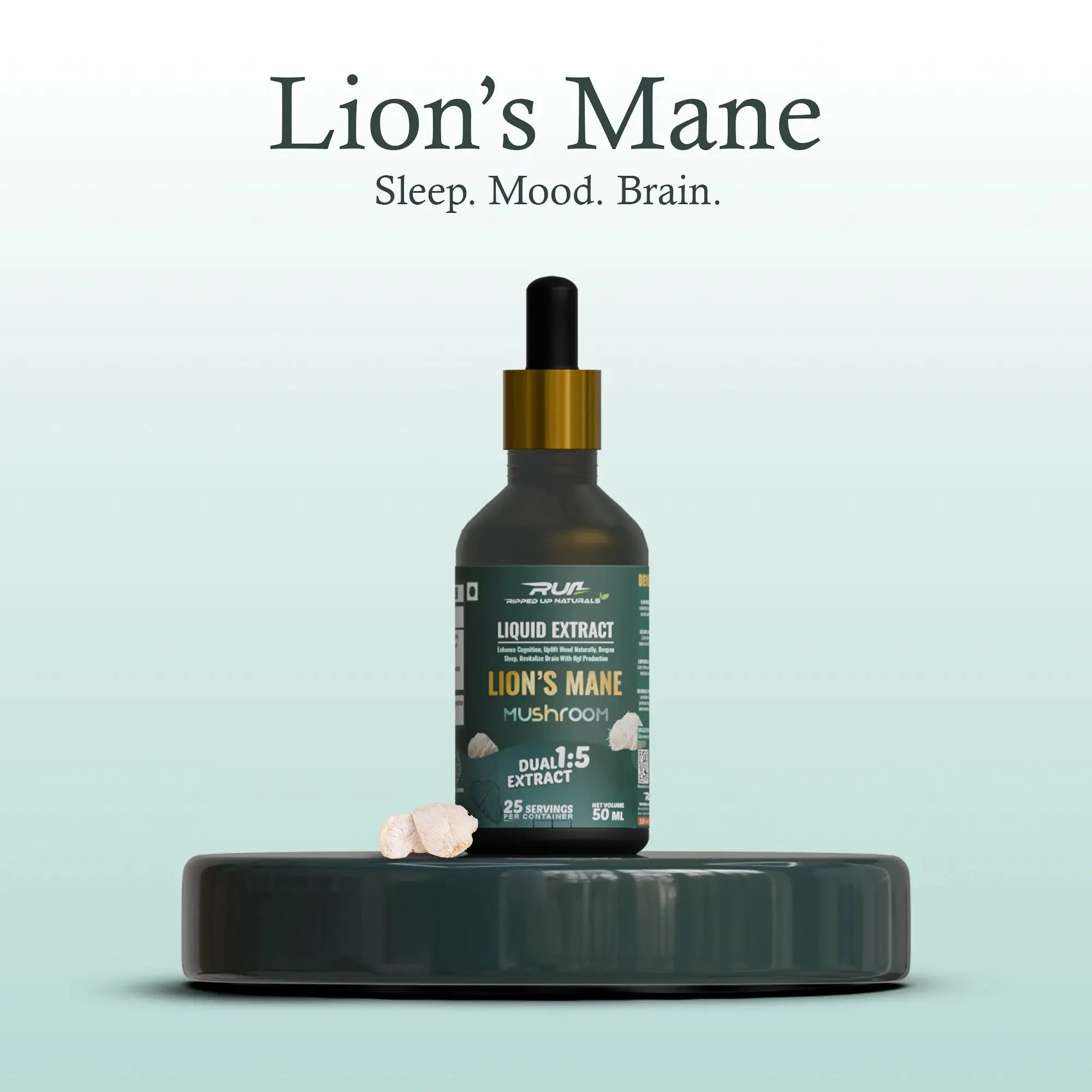 Lion's Mane Mushroom Liquid Extract